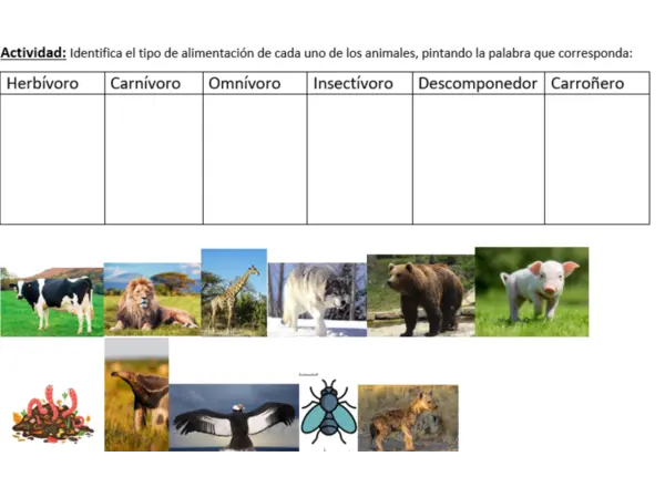 Tipos de nutrición alimentación de los animales 