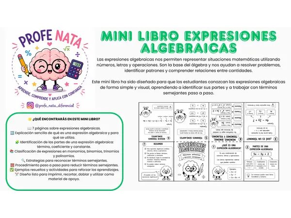 Mini libro Expresiones Algebraicas