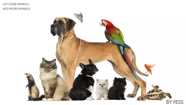 Dynamic ppt to practice speaking or conversation class about pets and animals