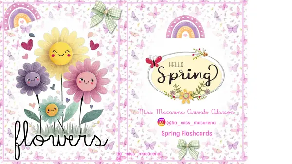 Spring Flashcards