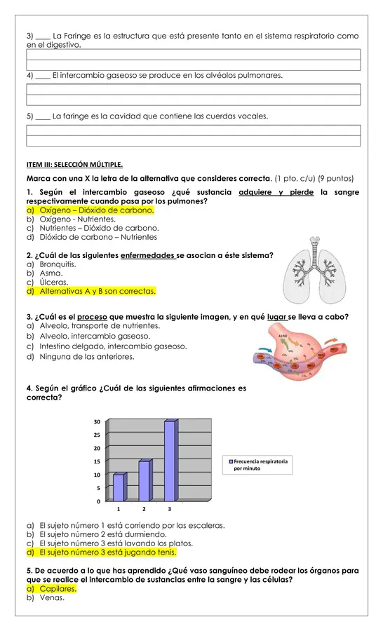 Prueba - Sistema respiratorio y microorganismos