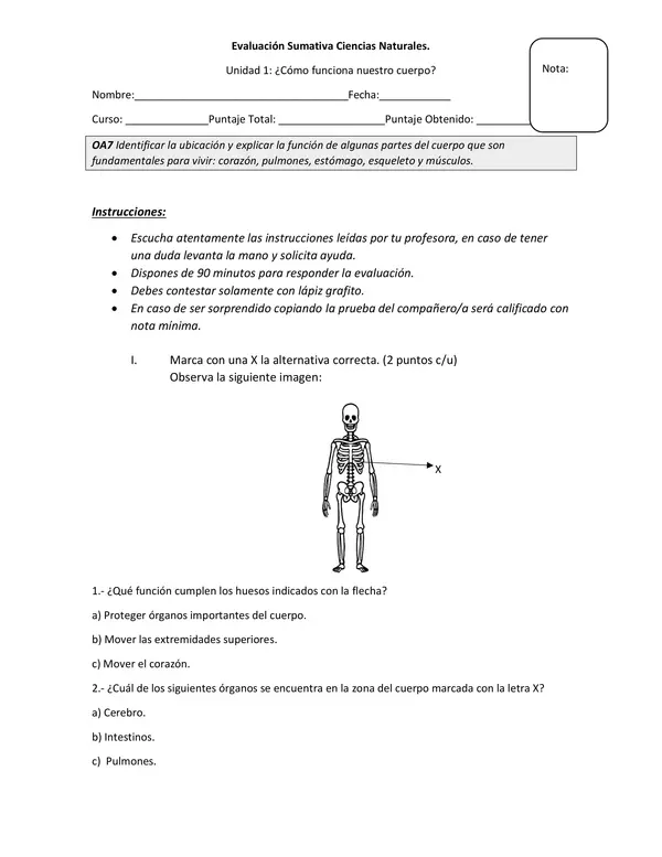 Evaluación de ciencias naturales Primero Básico 