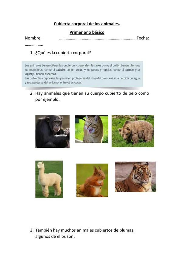 Cubierta corporal de los animales.