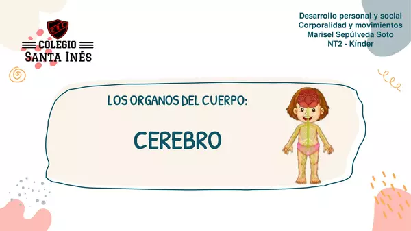 EL CEREBRO