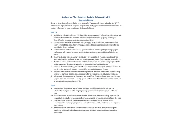 Registros planificación PIE 