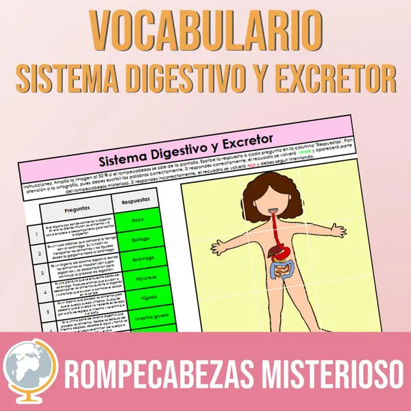 Sistema digestivo y excretor rompecabezas misterioso