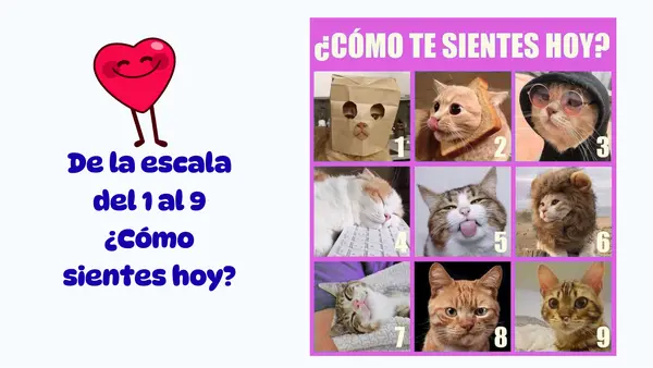 Presentación "Conociendo el corazón, los pulmones y el estómago" Ciencias