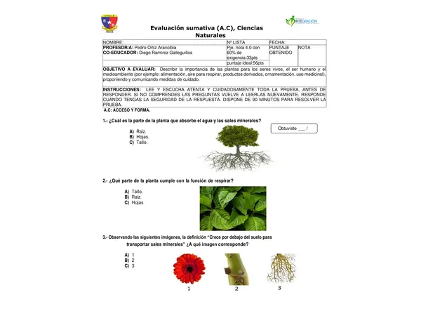 Evaluacion adaptada Ciencias naturales
