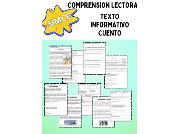 Comprensión lectora, SIMCE