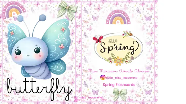 Spring Flashcards