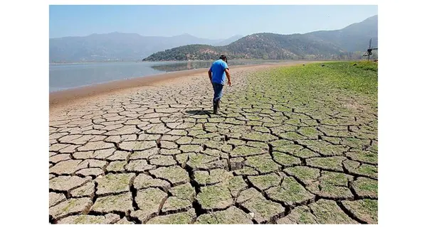 consecuencias del cambio climático