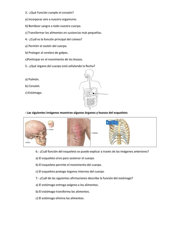 Evaluación de ciencias naturales Primero Básico 