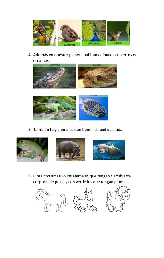 Cubierta corporal de los animales.
