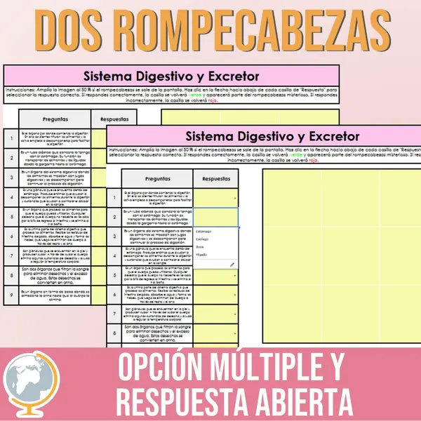 Sistema digestivo y excretor rompecabezas misterioso