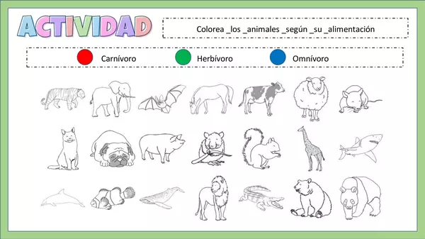 Características de los Animales