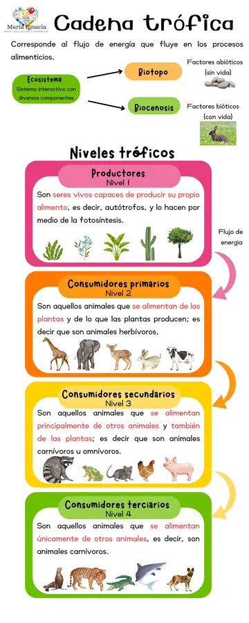 Cadenas tróficas