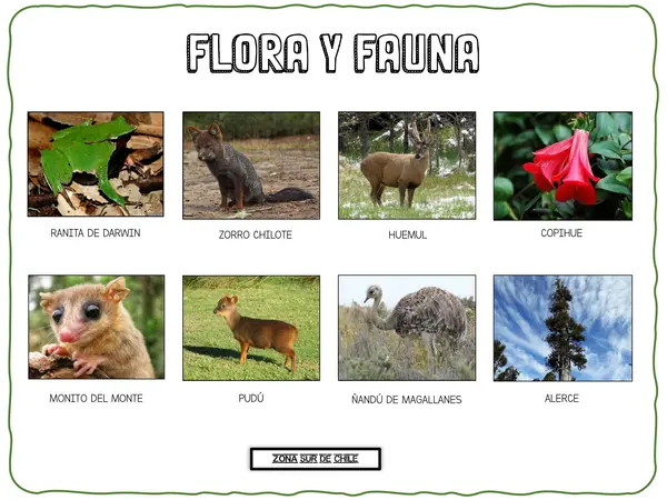 Zona Sur de Chile. Recurso de apoyo visual. 