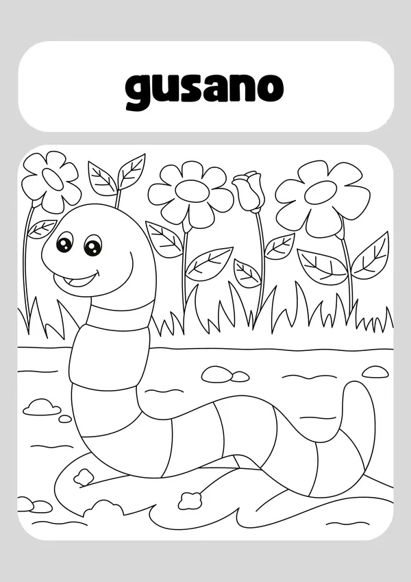 Libro para colorear ilustraciones de insectos