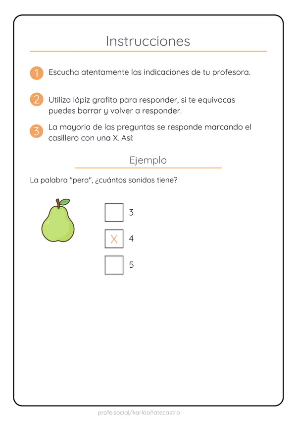 Ensayo impulso lector segundo básico