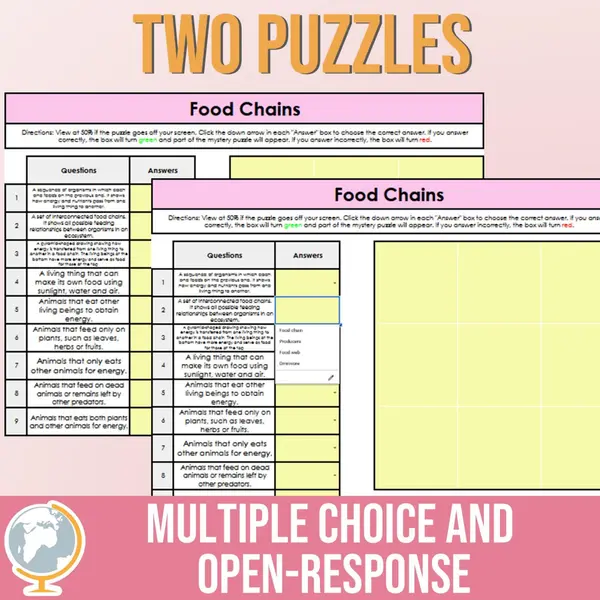 Food Chain Mystery Puzzle