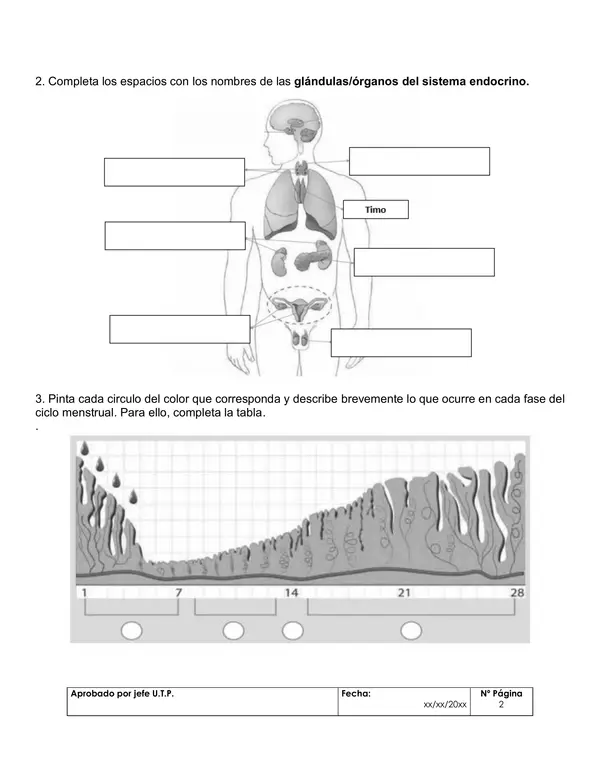 Evaluación Sumativa de Biología – 2° Medio - Unidad 1: Sistema Endocrino 