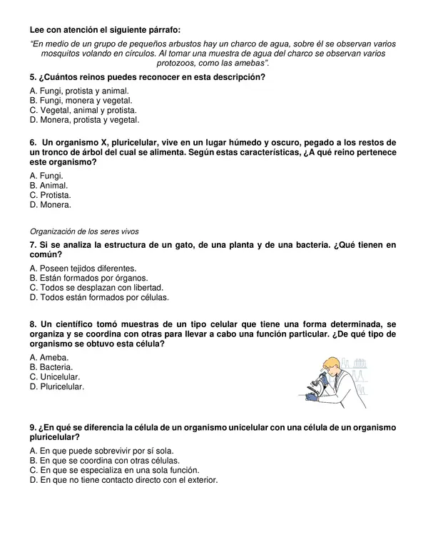 Evaluación de ciencias 5° año "Seres vivos".