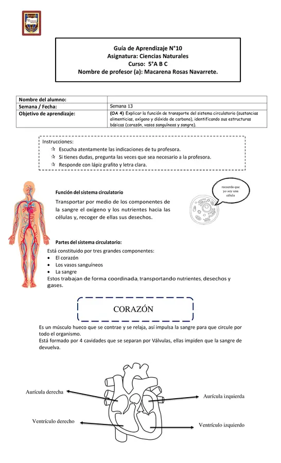 GUÍA SISTEMA CIRCULATORIO