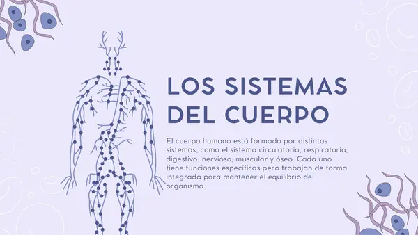Cuerpo humano