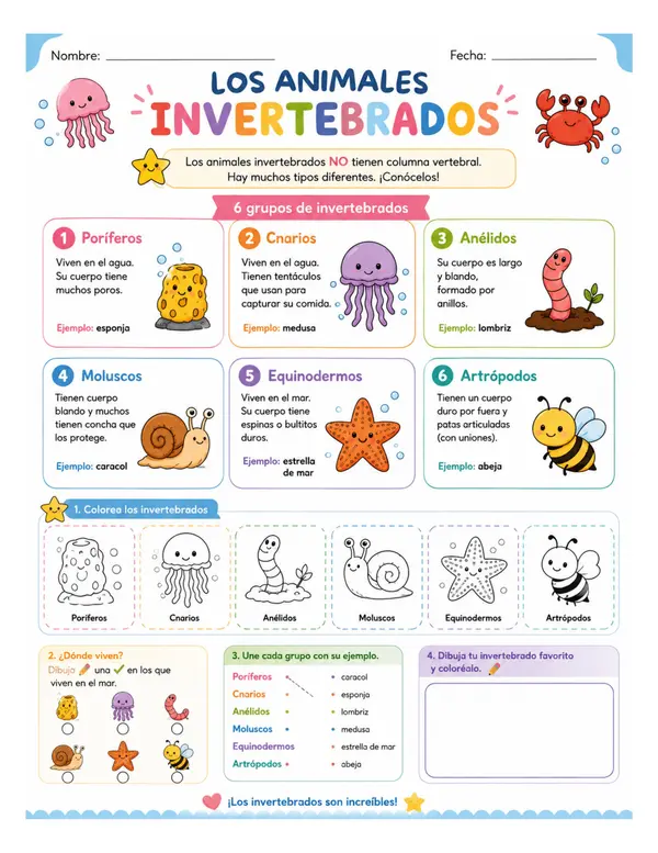 Ficha de aprendizaje animales invertebrados