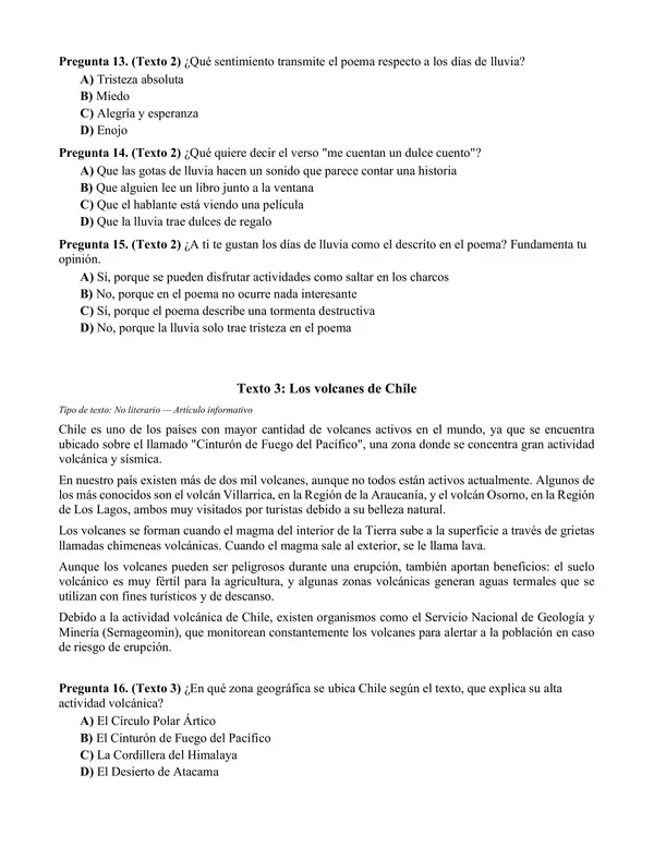 Ensayo simce n°2 