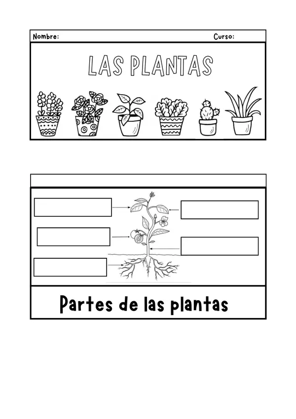 Libro: Las plantas