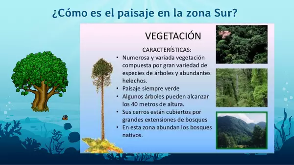 chile y sus diversos paisajes 