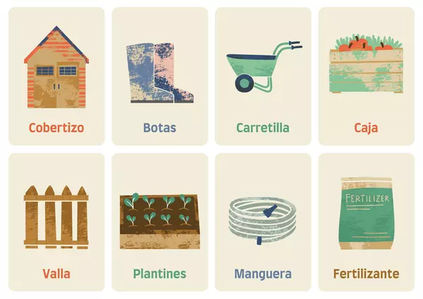 Tarjetas con Ilustraciones: "Cosas del jardín"
