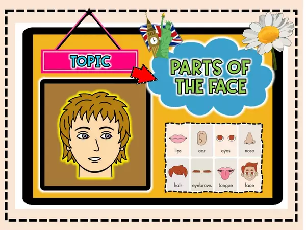 ACTIVITY 4 - PARTS OF THE FACE