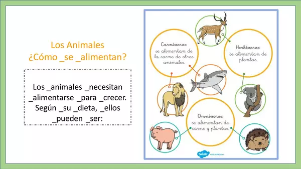 Características de los Animales