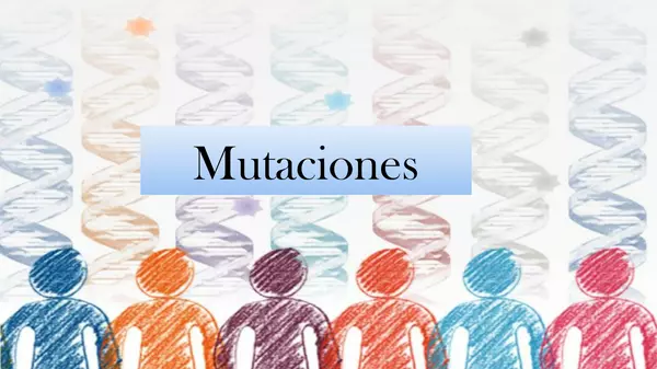Tipos de mutaciones