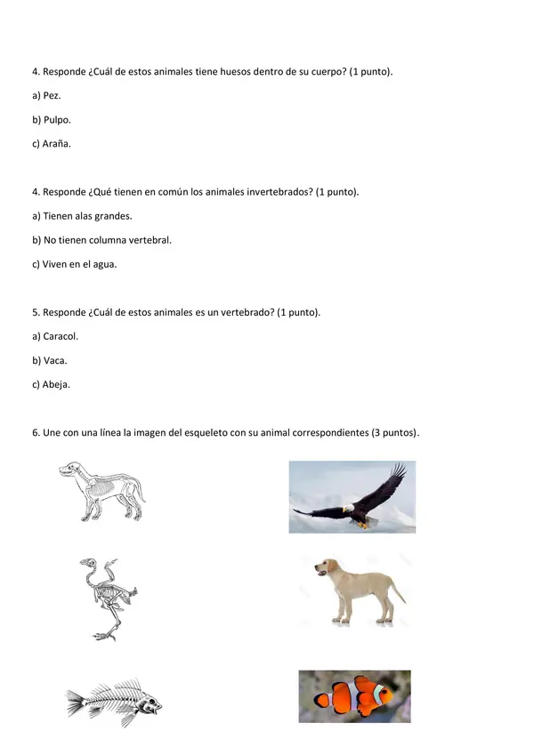 Prueba Vertebrados e Invertebrados 2° Básico