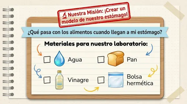 Clase 5 Lección 1 Unidad 1 "Cuidemos nuestro cuerpo" Función del estomago - 2° Básico