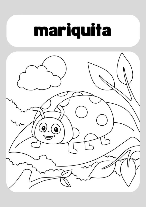 Libro para colorear ilustraciones de insectos