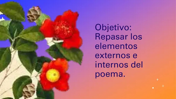 Elementos internos y externos del poema