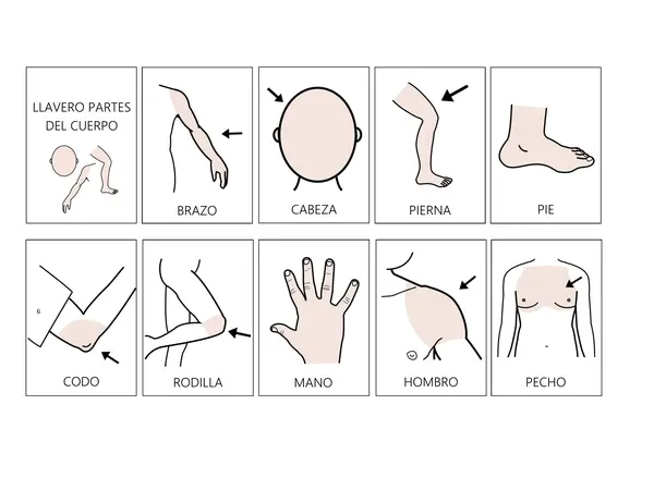 Llavero de Pictogramas: Partes del Cuerpo