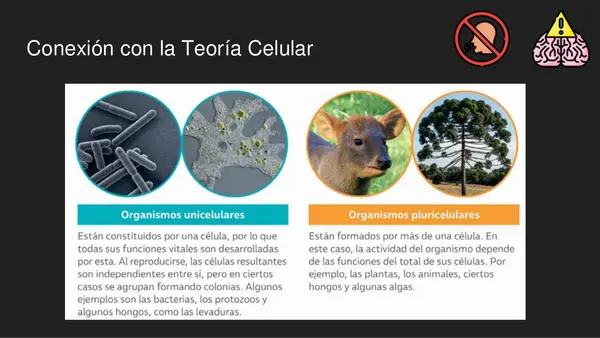 Virus || PPT || Microorganismos 7 - 5° básico