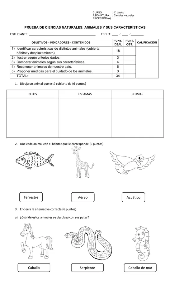 Prueba Animales y sus características 