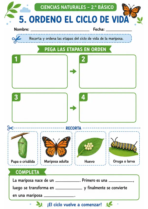 Unidad 2: Ciclos de vida, hábitats y animales invertebrados