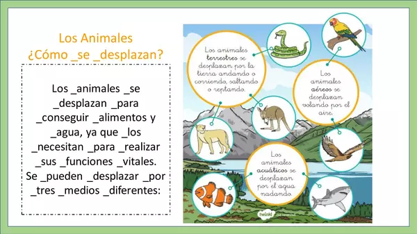 Características de los Animales