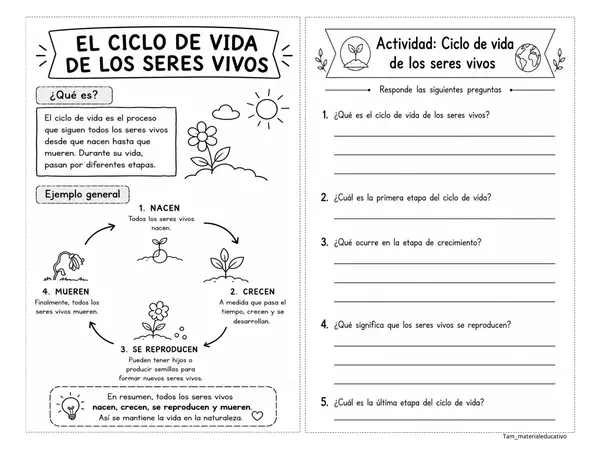 Ciclo de vida de los seres vivos 