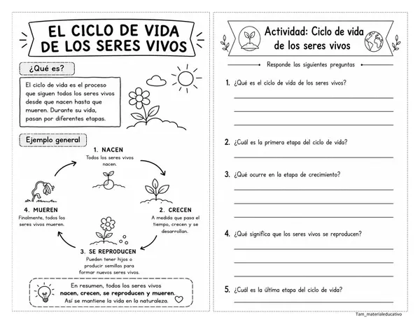 Ciclo de vida de los seres vivos 