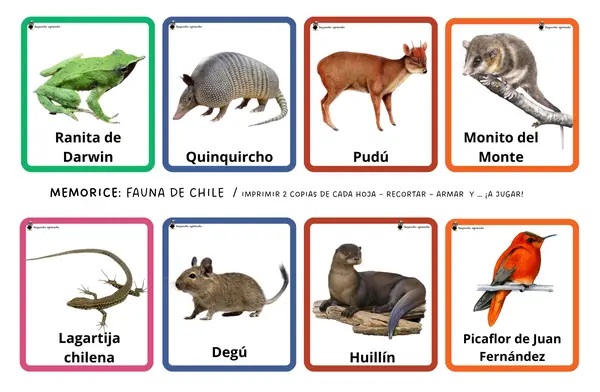Memorice animales chilenos 