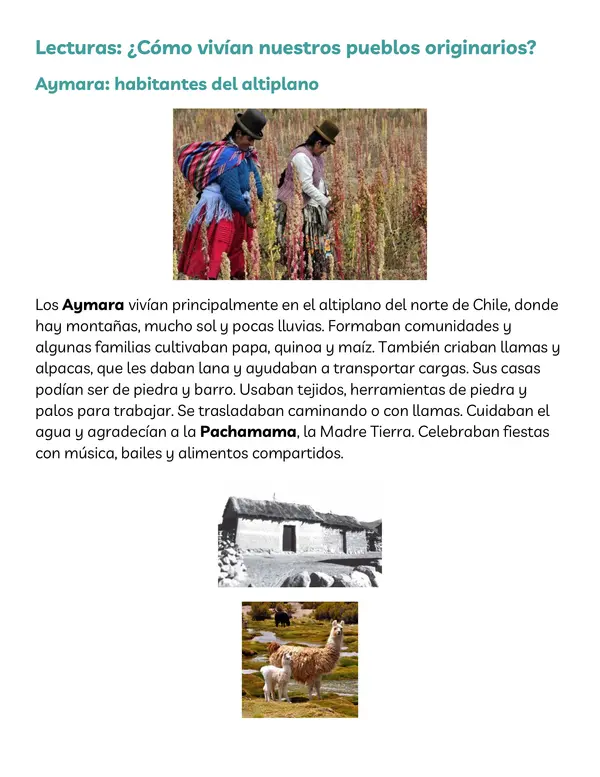 “Mi Álbum: Descubriendo los Pueblos Originarios de Chile” 