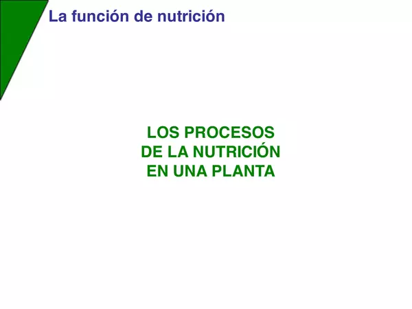 Procesos de nutrición de la planta